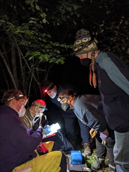 Processing a bat May 26