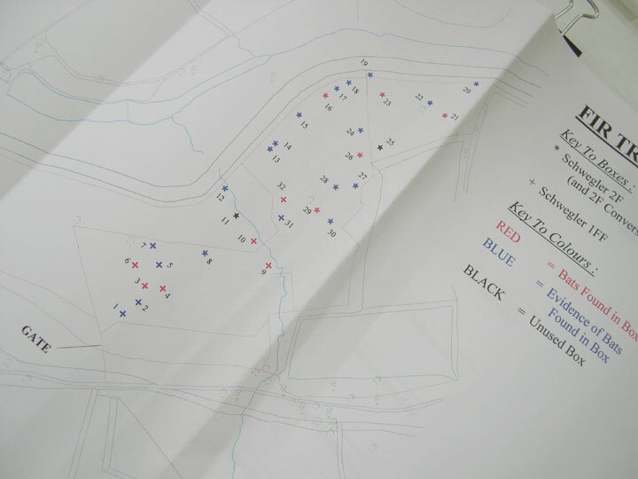 mapping